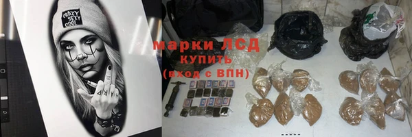 хмурый Гусев