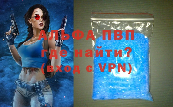 хмурый Гусев