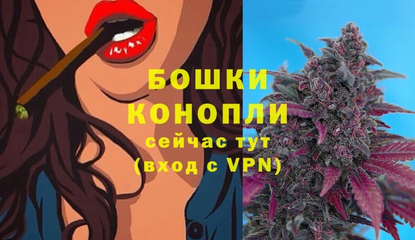 хмурый Гусев